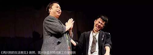 兩只狗的生活意見(jiàn)