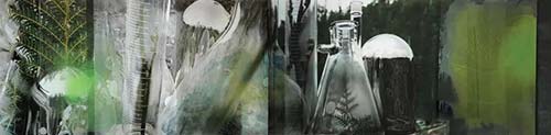 珍妮特·勞倫斯（Janet Laurence），Glass Installation