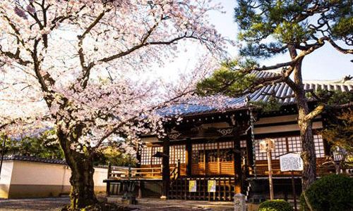 日本藝術留學優(yōu)勢