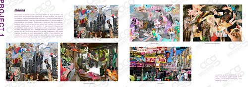 平面設(shè)計(jì)作品集