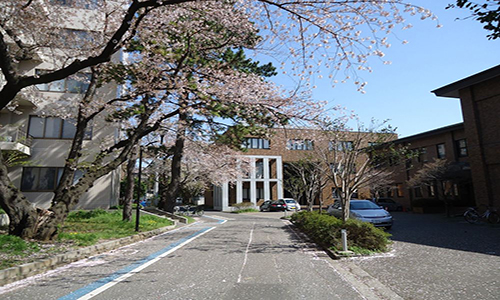 日本千葉大學
