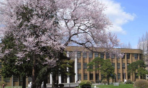 京都精華大學(xué)研究生留學(xué)