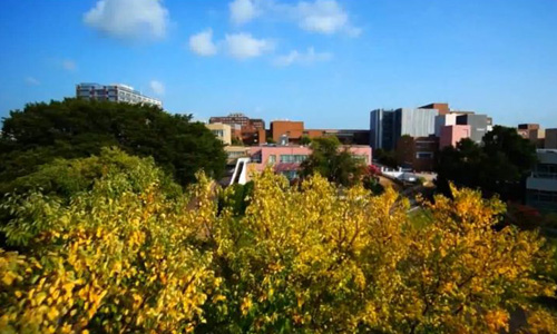 日本筑波大學